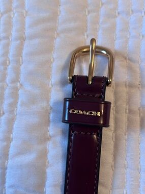 Coach Belt